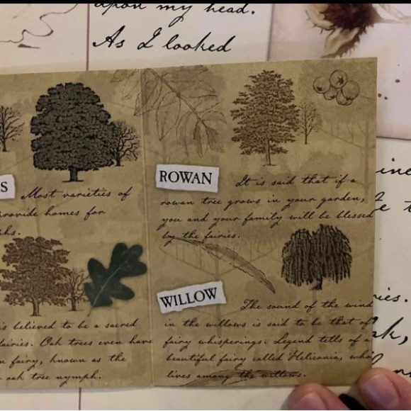 Do You Believe In Fairies? A Flower Fairies Journal - Picture 10 of 12